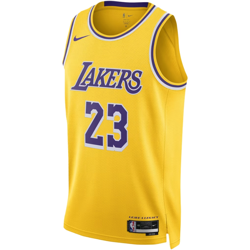 Los Angeles Lakers Yellow & Purple Icon Edition Basketball Jersey (James)