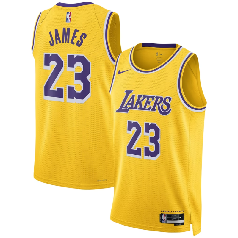 Los Angeles Lakers Yellow & Purple Icon Edition Basketball Jersey (James)