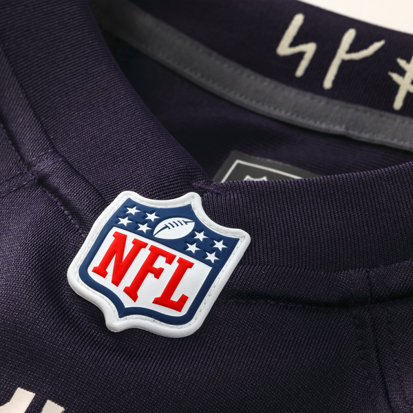 Nike Minnesota Vikings Andrew Van Ginkel 2026 Rivalries Game Jersey