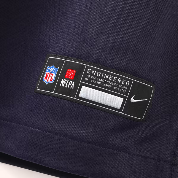 Nike Minnesota Vikings Andrew Van Ginkel 2026 Rivalries Game Jersey