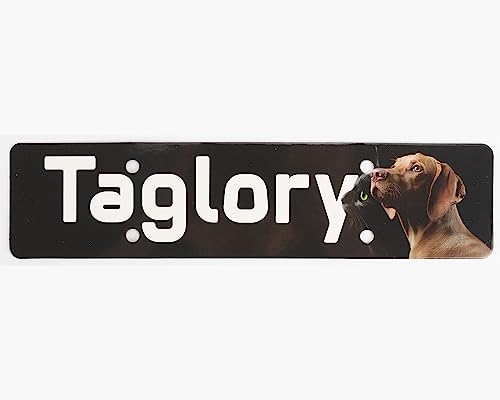 Taglory Reflective Dog Collar with Safety Locking Buckle, Adjustable Nylon Pet Collars for Large Dogs, Light Blue