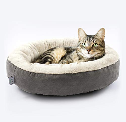 Love's cabin Round Donut Cat and Dog Cushion Bed, 20in Pet Bed for Cats or Small Dogs, Anti-Slip & Water-Resistant Bottom, Super Soft Durable Fabric Pet Beds, Washable Luxury Cat & Dog Bed Gray