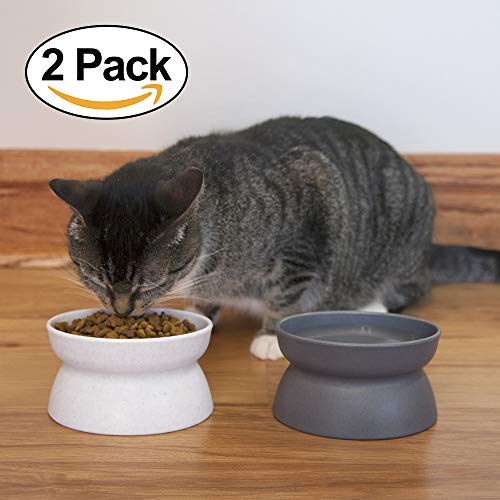 Kitty City Raised Cat Food Bowl Collection_Stress Free Pet Feeder and Waterer