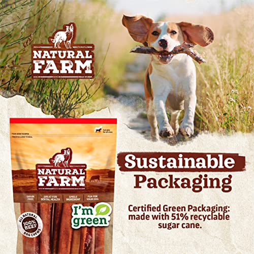 Natural Farm Odor-Free Bully Sticks (6 Inch, 25 Pack), 1.3 lb. Bag, Fully Digestible 100% Beef Pizzle Chews, Grass-Fed, Non-GMO, Grain-Free, Natural Long-Lasting Chews for Small & Large Dogs