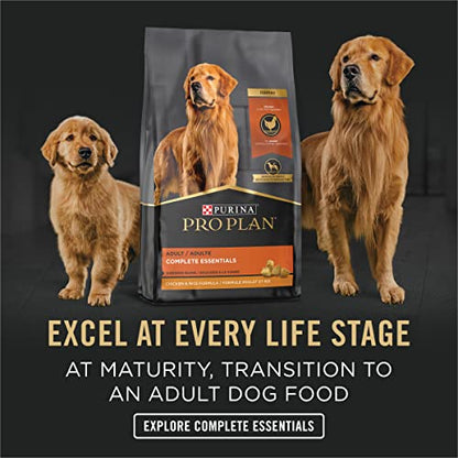 Purina Pro Plan High Protein Puppy Food Pate, Chicken and Brown Rice Entree - (12) 13 oz. Cans