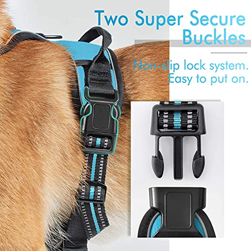 Rabbitgoo Dog Harness, No-Pull Pet Harness with 2 Leash Clips, Adjustable Soft Padded Dog Vest, Reflective No-Choke Pet Oxford Vest with Easy Control Handle for Large Dogs, Blue, L