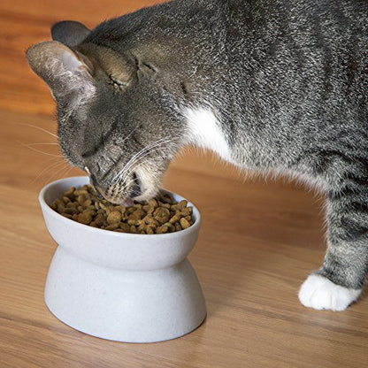 Kitty City Raised Cat Food Bowl Collection_Stress Free Pet Feeder and Waterer