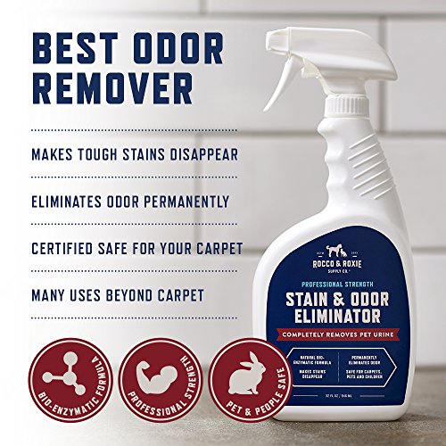 Rocco & Roxie Stain & Odor Eliminator for Strong Odor - Enzyme Pet Odor Eliminator for Home - Carpet Stain Remover for Cats and Dog Pee - Enzymatic Cat Urine Destroyer - Carpet Cleaner Spray